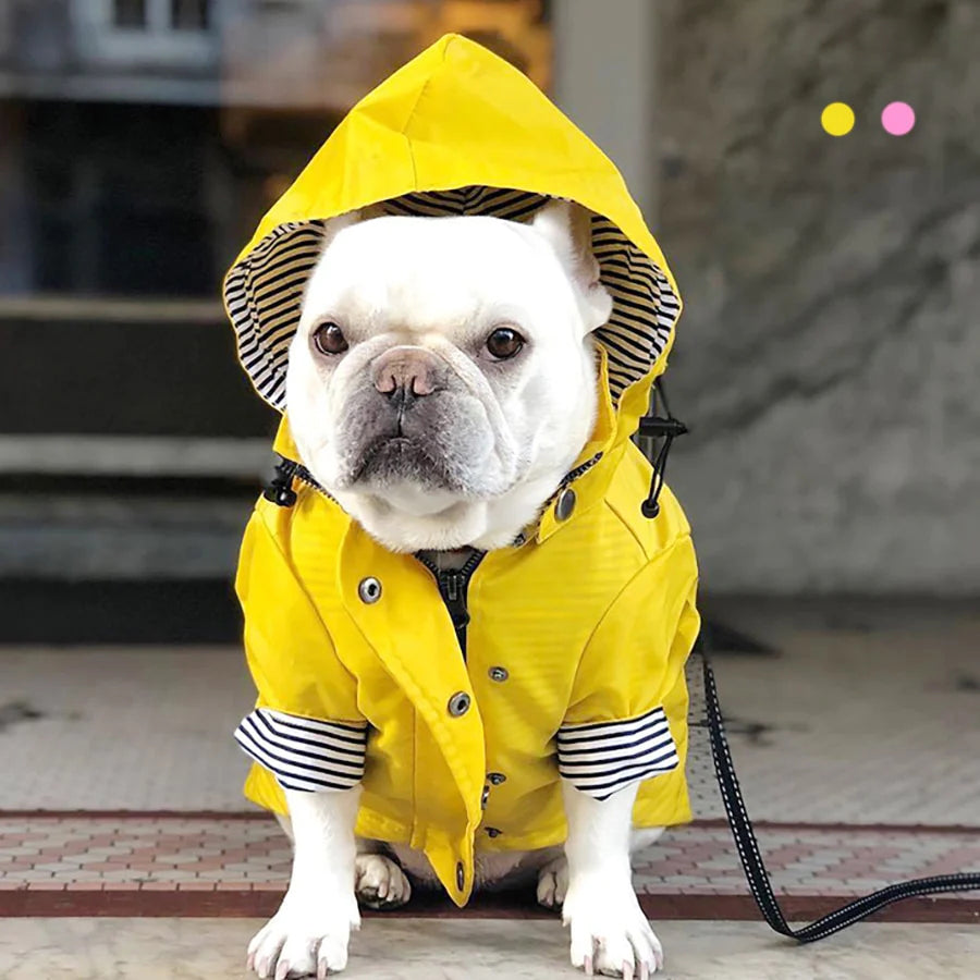 Waterproof Pet Jacket